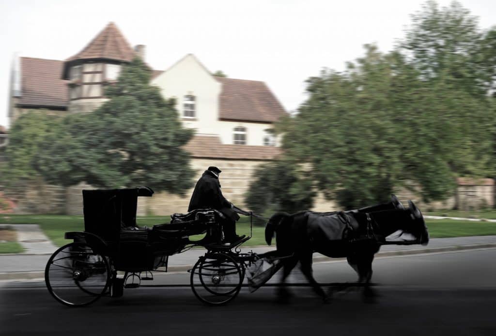 Dunkelgräfin in Eishausen Pferdekutsche