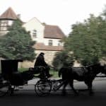 Dunkelgräfin in Eishausen Pferdekutsche