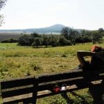 Naturlehrpfad Hopfenberg Streufdorf